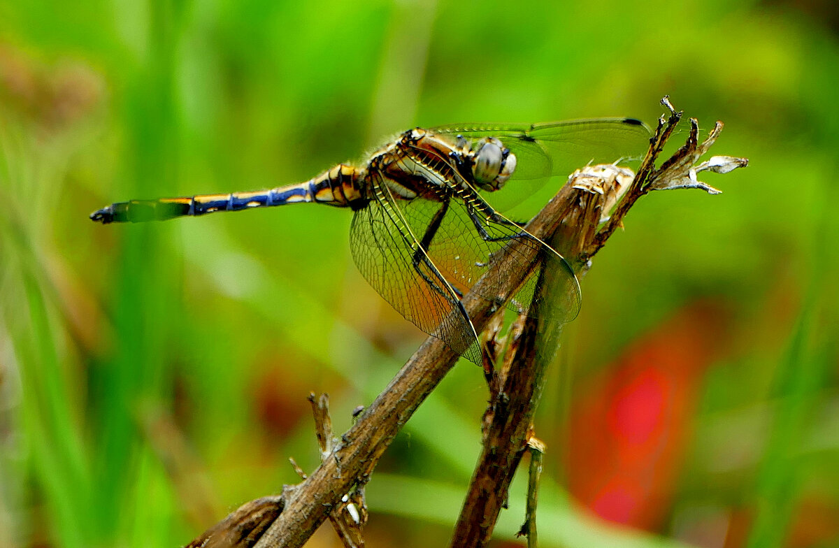 из вчерашней съёмки 5 - Александр Прокудин