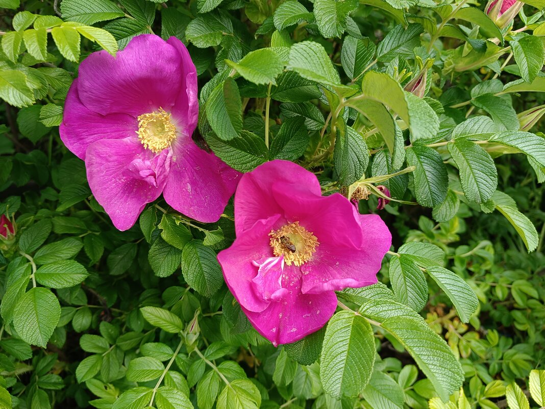 Ах, лето... - Мария Васильева