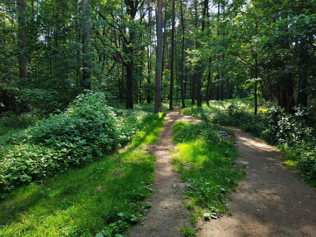 Мой путь светел - Андрей Лукьянов Мой путь светел - Андрей Лукьянов