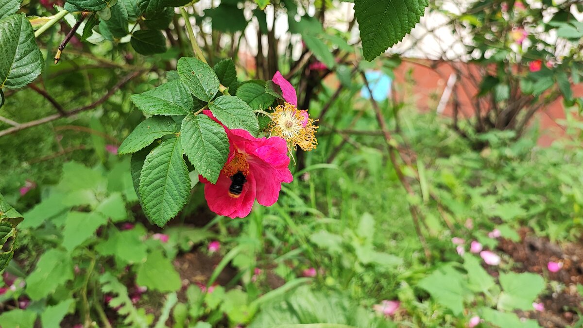 ,,, - Сергей Тимоновский