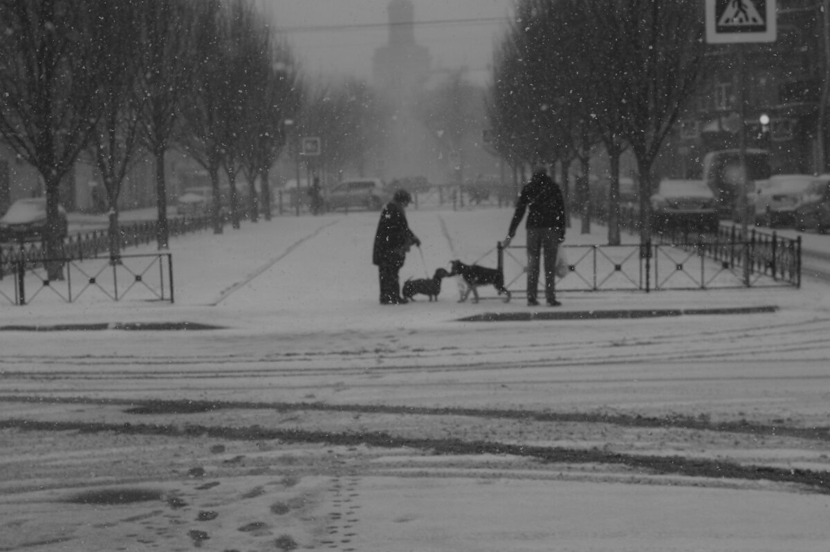 .... - Юрий Самсонов