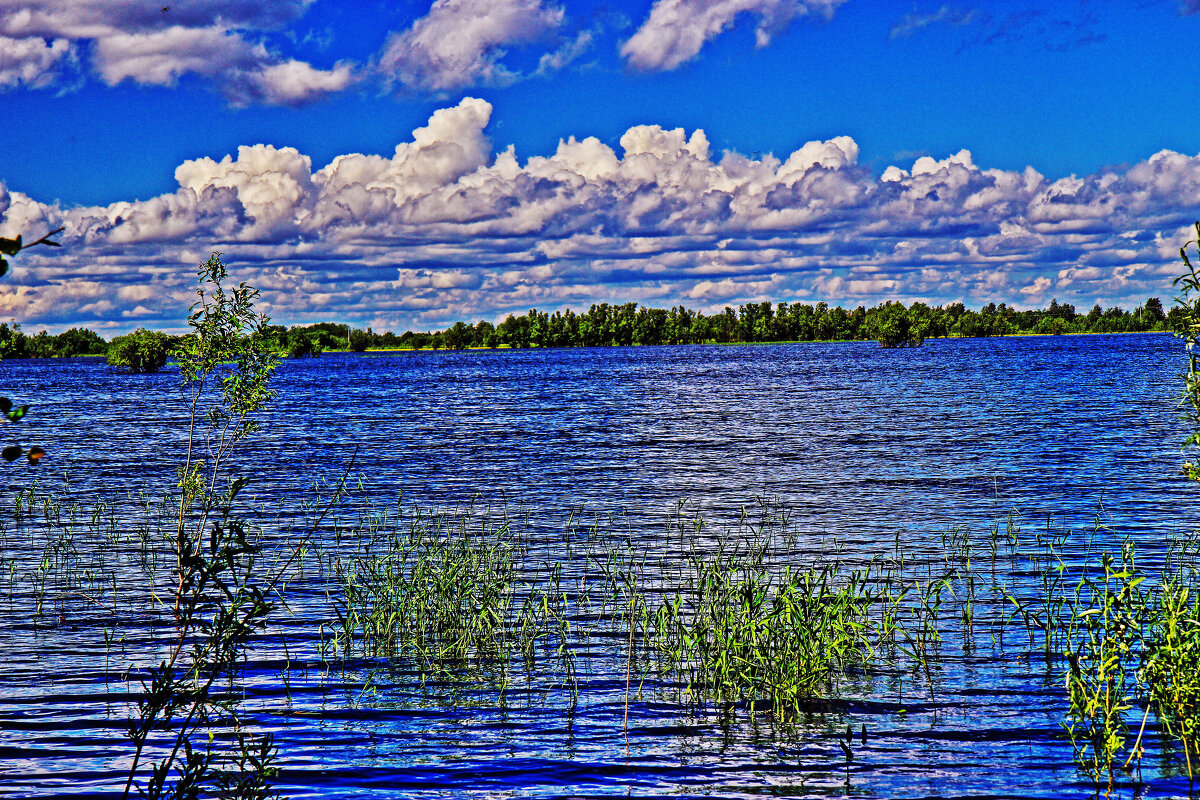 Июнь...Разлив протоки Сырой Аган! - Владимир 