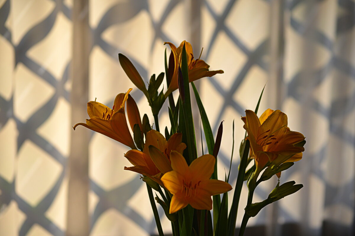 Вечер на даче - Татьяна Лютаева