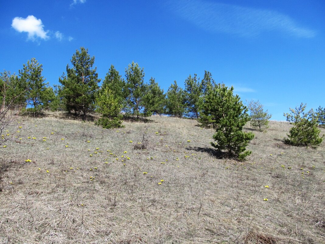 хвалынские просторы - Елена Шаламова