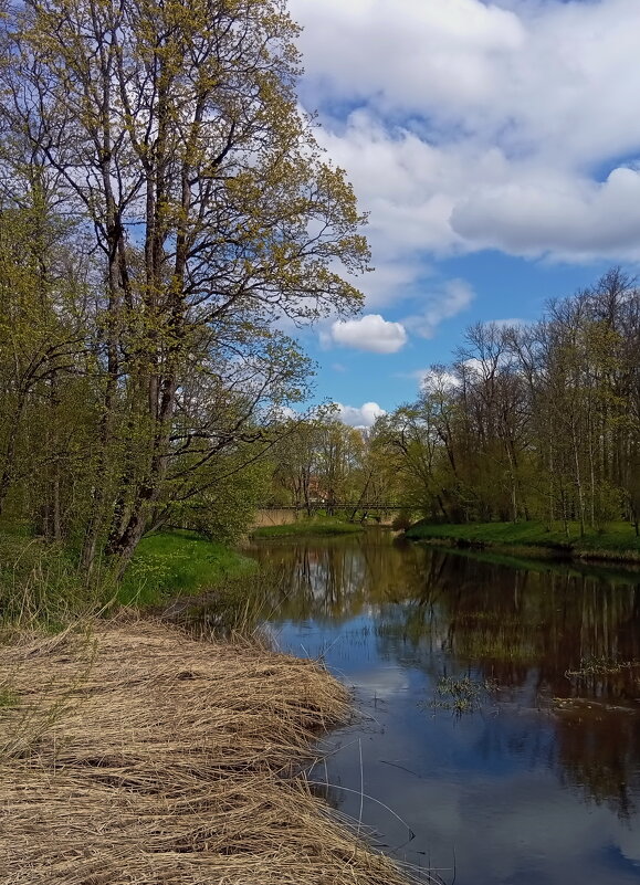 Майский хороший денёк.. - Татьян@ Ивановна