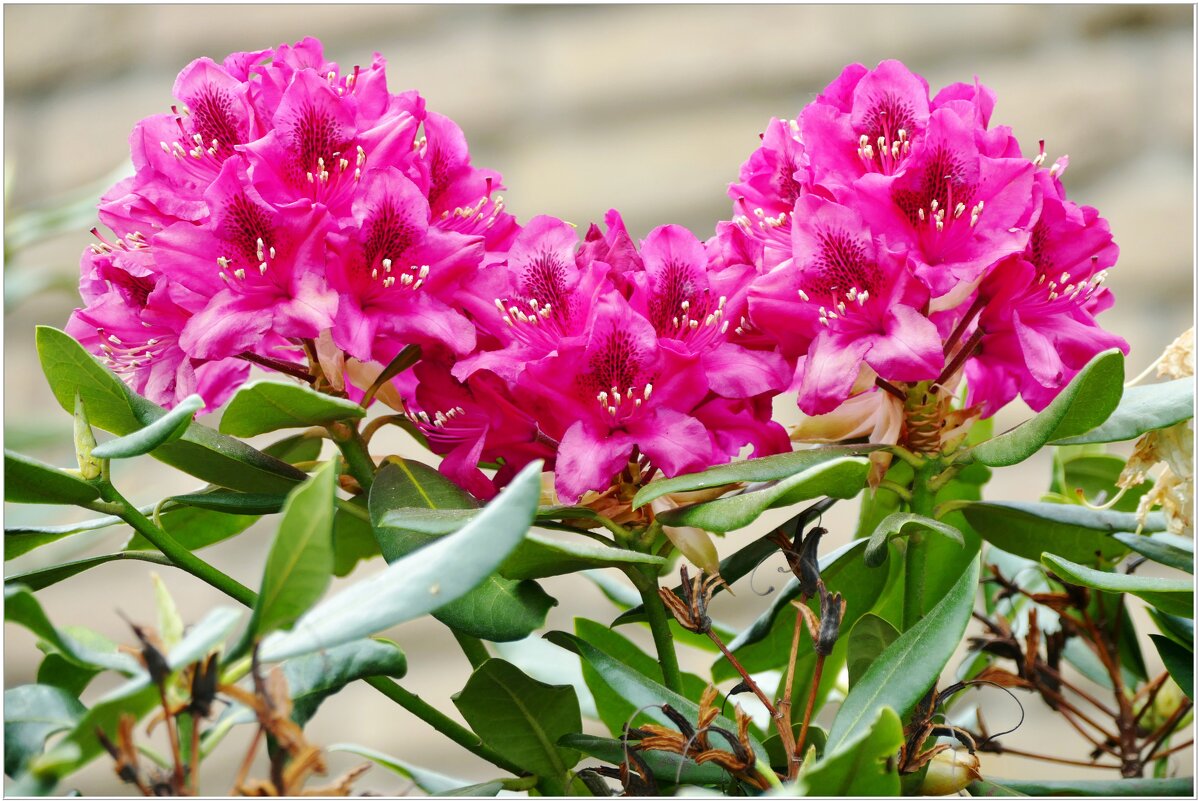 ЭТЮД... - Elvira E. ЭТЮД... - Elvira E.