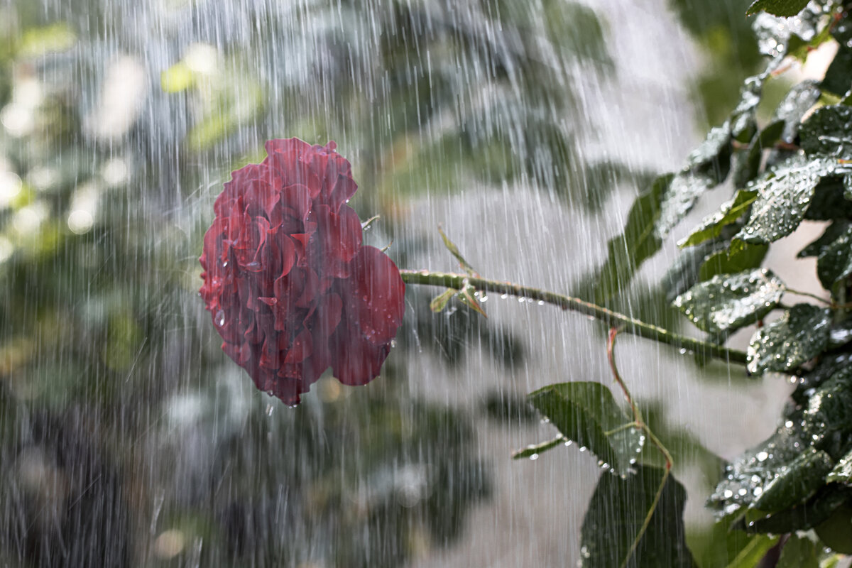 И в непогоду красива... - Валерий Басыров И в непогоду красива... - Валерий Басыров