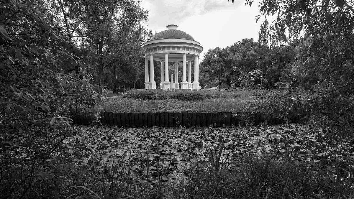 ***** - юрий поляков