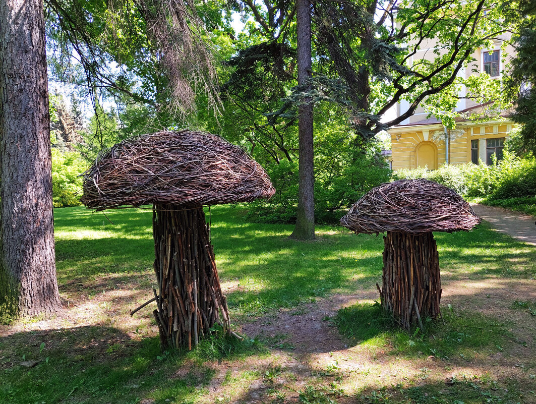 Симбиоз - Ирина Румянцева