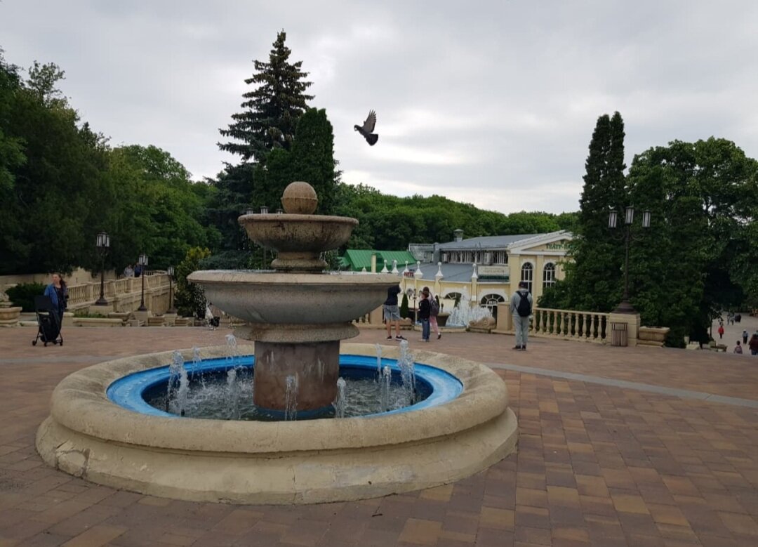 ЕССЕНТУКИ - Tata Wolf