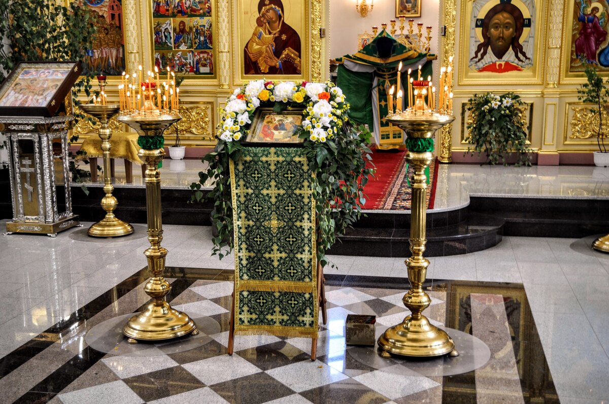 А вы запаслись берёзовыми ветками ,,,? - Анатолий Колосов