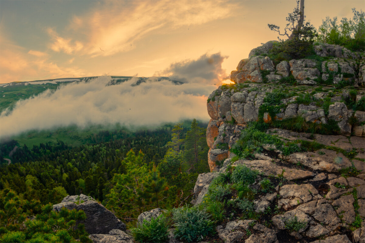 *** - Аnatoly Gaponenko *** - Аnatoly Gaponenko
