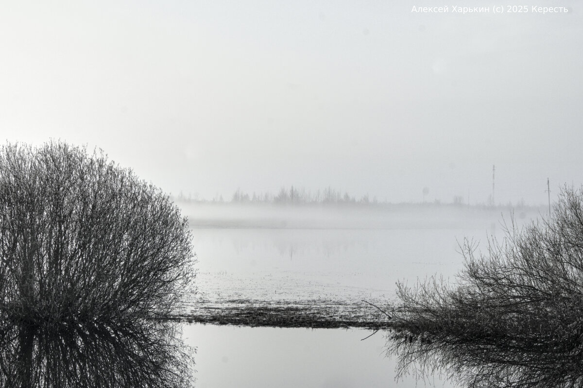 Не дыши - Алексей Харькин