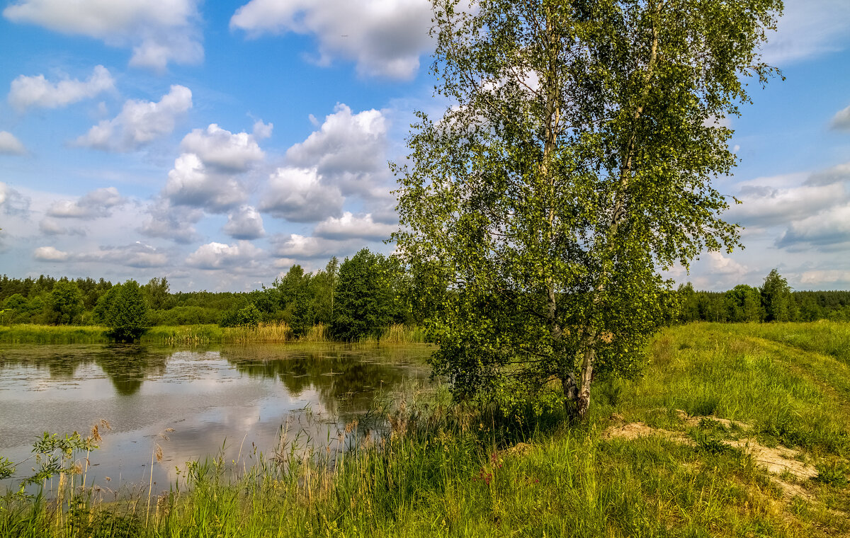 Июньское утро 2 - Андрей Дворников