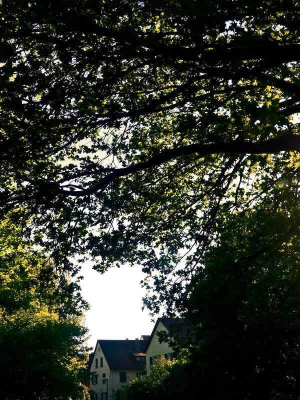 Летние этюды 20 - Алексей Кузнецов