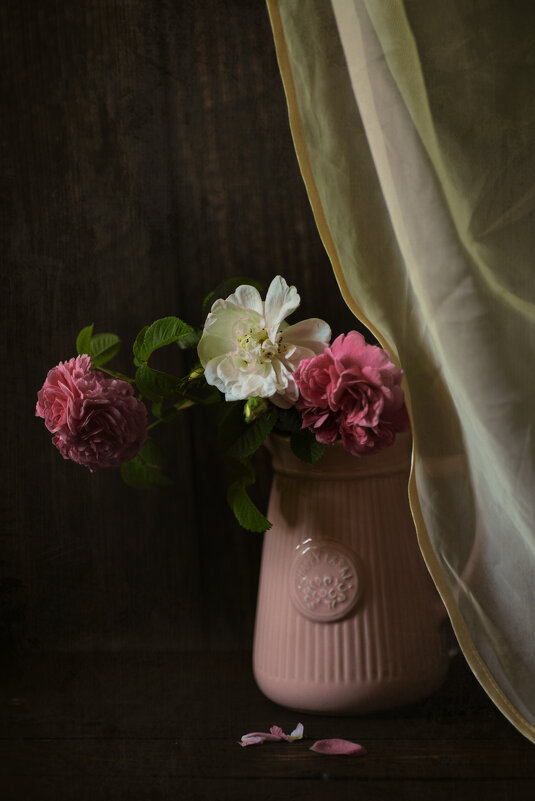 *** - Яна Горбунова