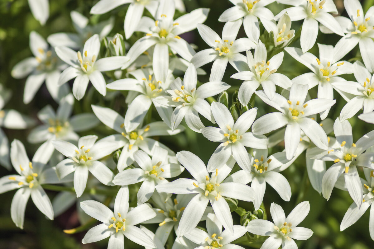 Краски лета - Андрей Неуймин Краски лета - Андрей Неуймин