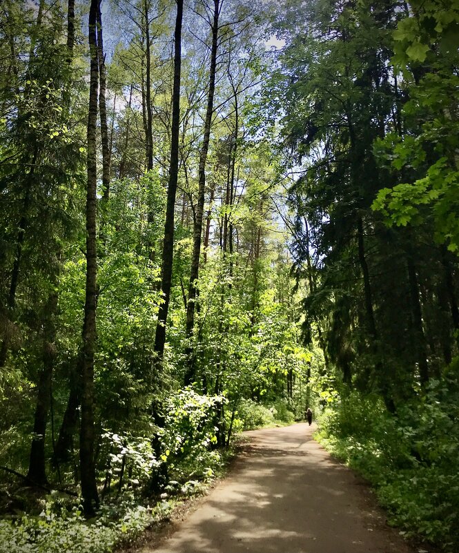 Погожий денёк - Любовь Погожий денёк - Любовь