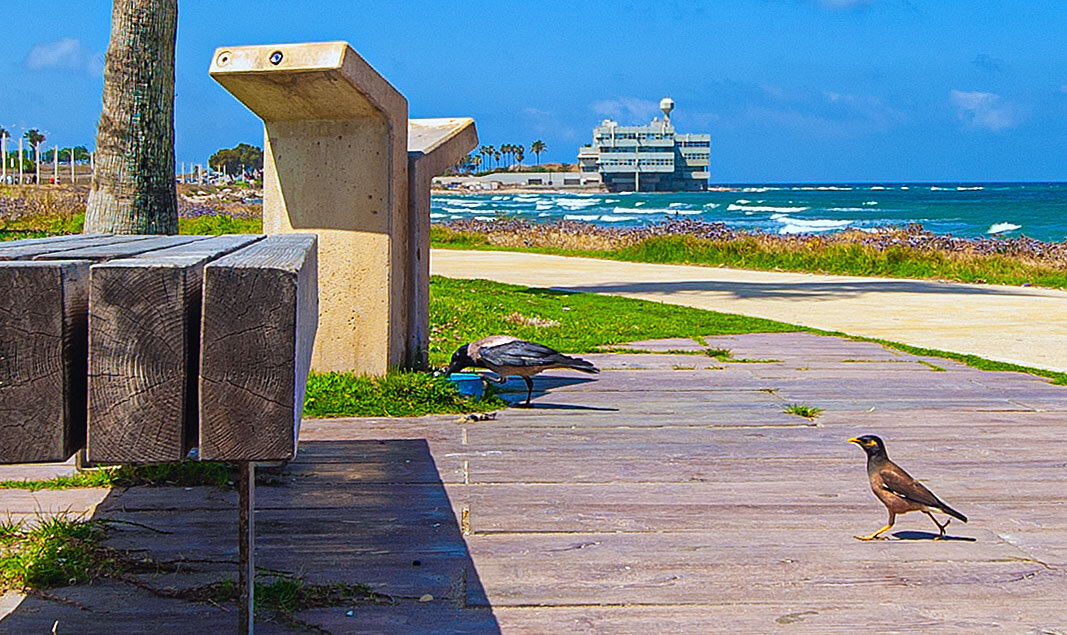 Все хотят пить - Эмиль Все хотят пить - Эмиль