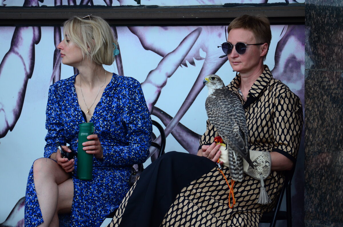 Красавец сокол со своей хозяйкой. - Наталья Вязигина Красавец сокол со своей хозяйкой. - Наталья Вязигина