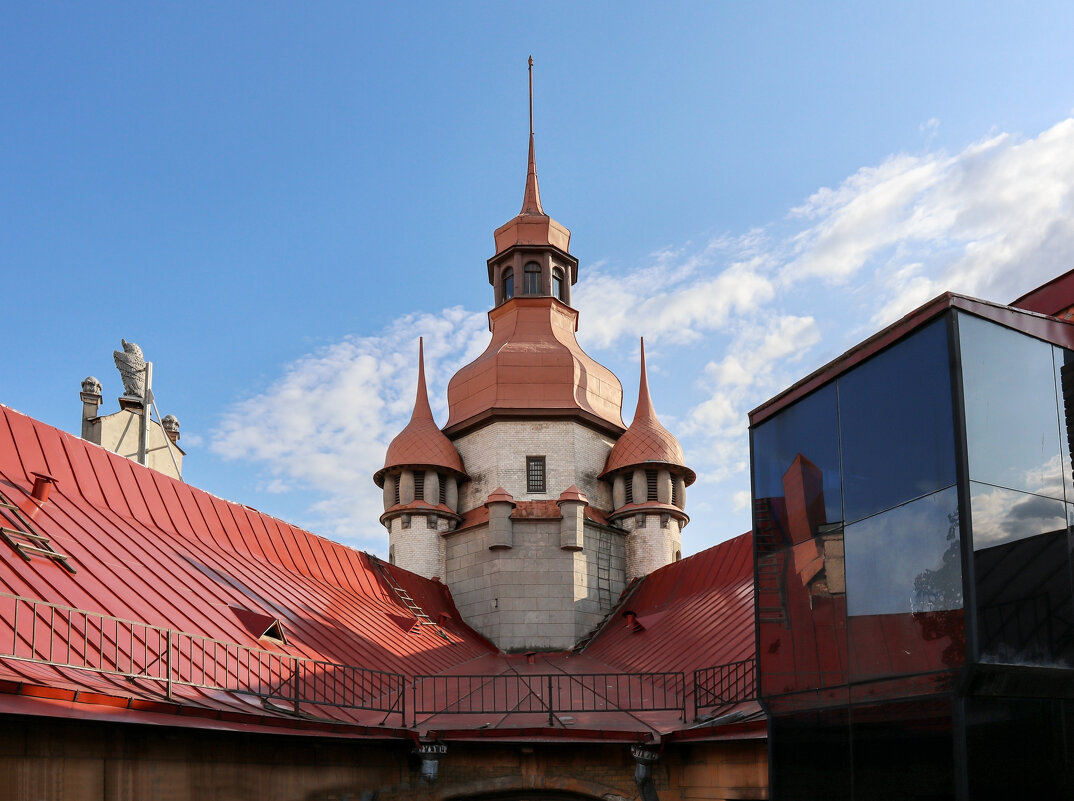 Крыши Питера - skijumper Иванов Крыши Питера - skijumper Иванов