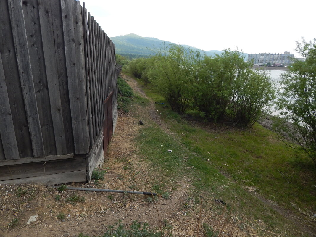 Берег Ингоды - Екатерина Панова Берег Ингоды - Екатерина Панова