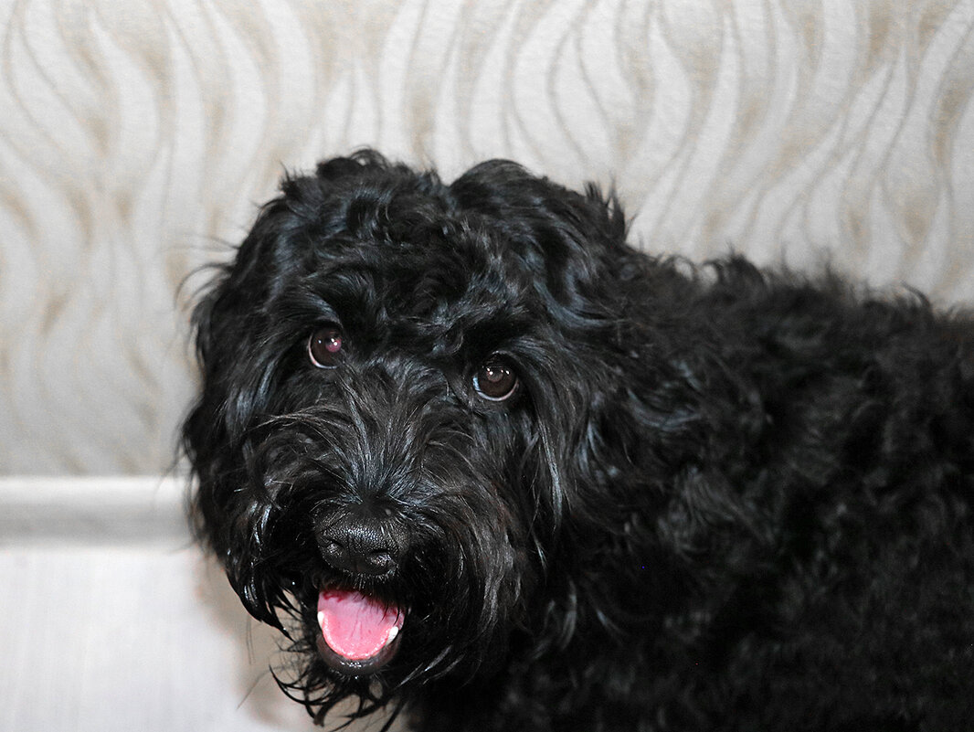 Портрет Тучи - Светлана Портрет Тучи - Светлана