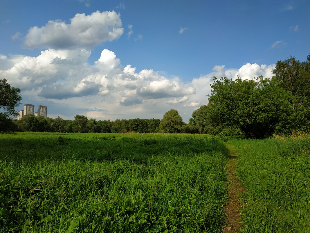 Июнь как он есть - Андрей Лукьянов Июнь как он есть - Андрей Лукьянов