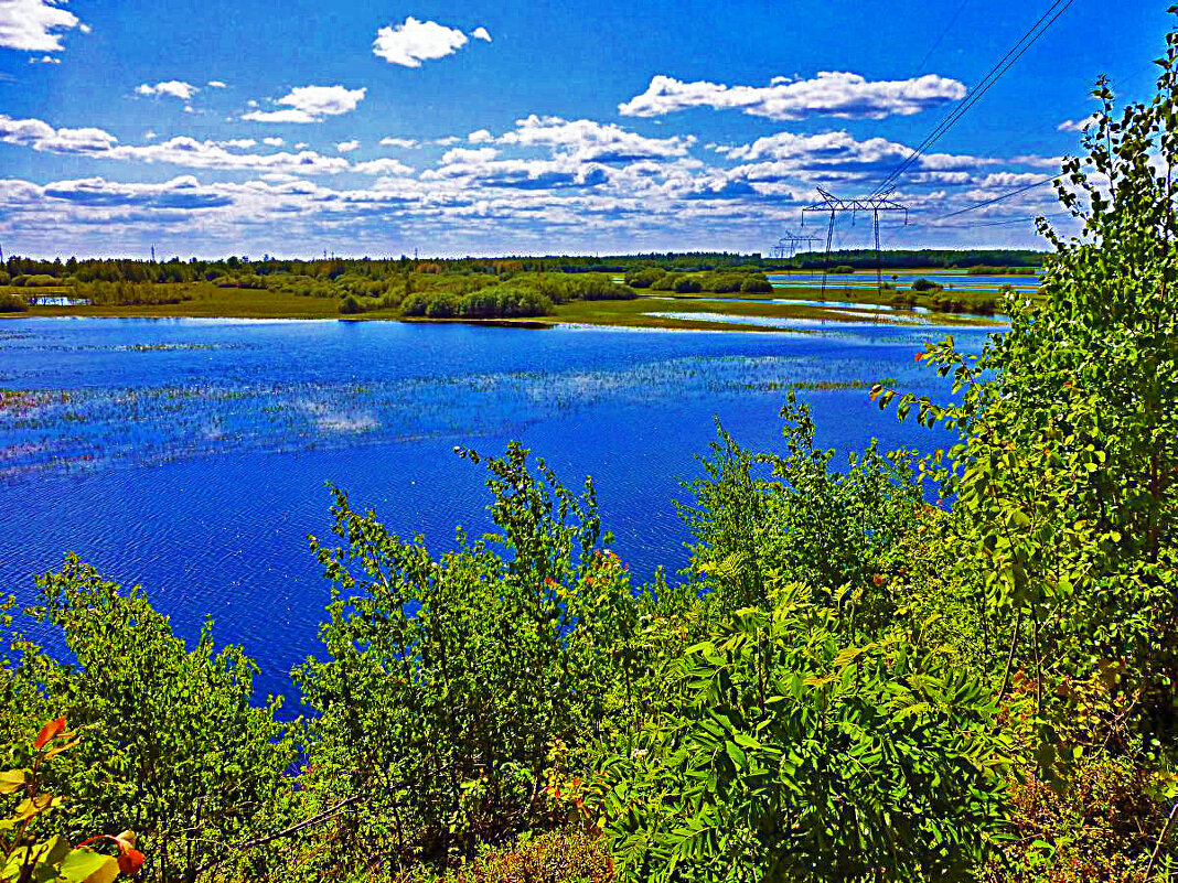 Июнь...Разлилась протока Сырой Аган! - Владимир Июнь...Разлилась протока Сырой Аган! - Владимир
