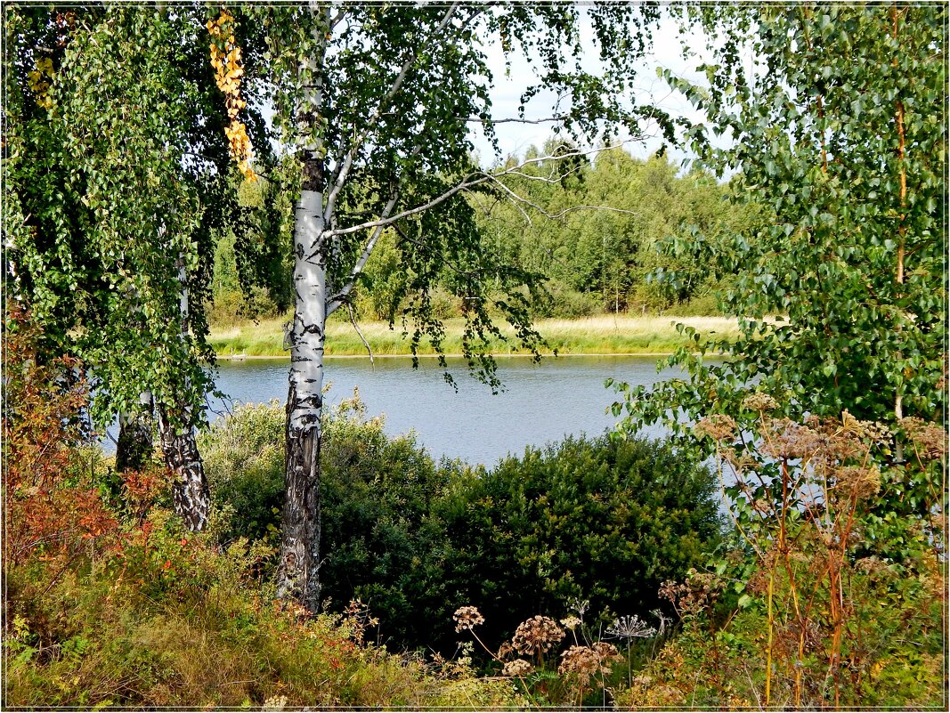 У озера - Сергей Швечков У озера - Сергей Швечков