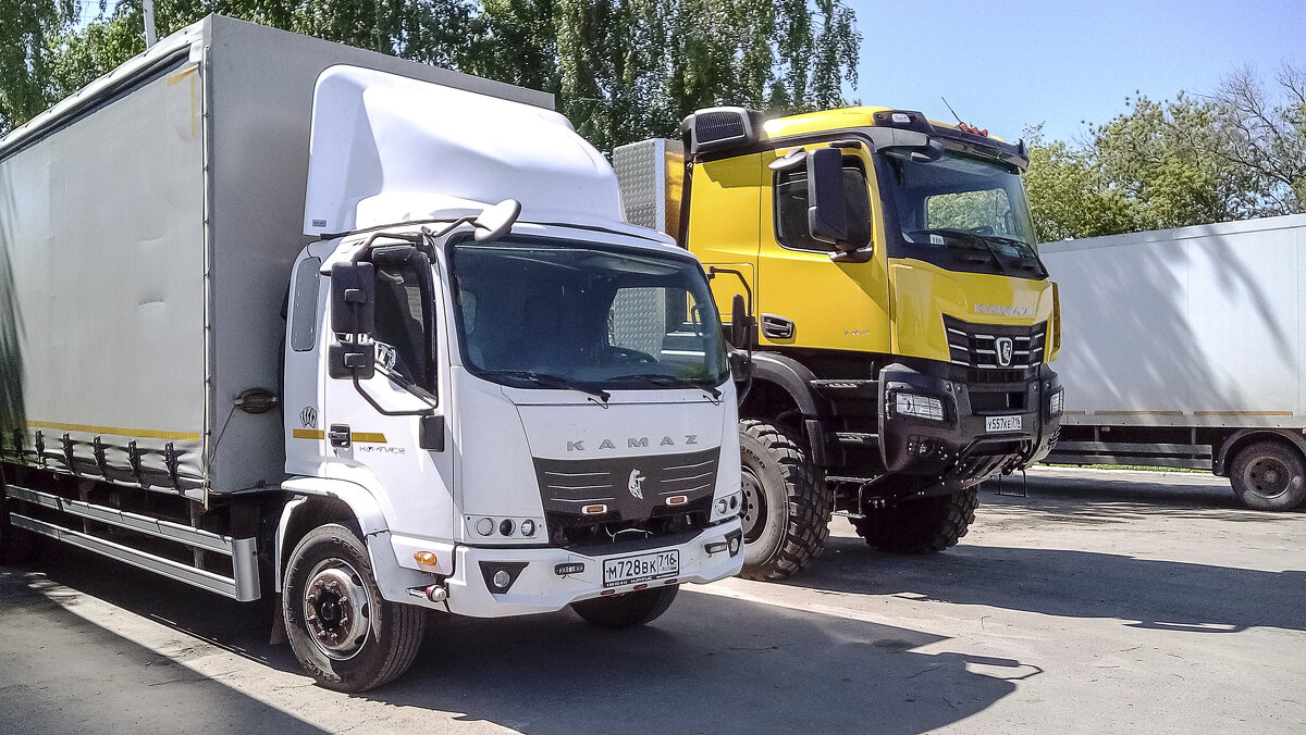 Лилипут и Гулливер - Андрей Щетинин