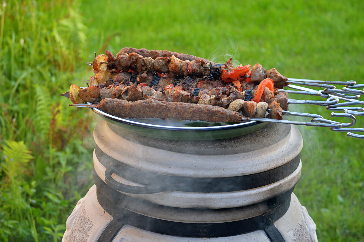 Шашлык из тандыра - Татьяна Лютаева Шашлык из тандыра - Татьяна Лютаева