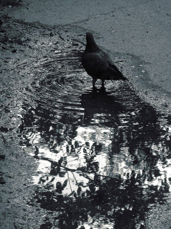 море по колено - Николай Семёнов