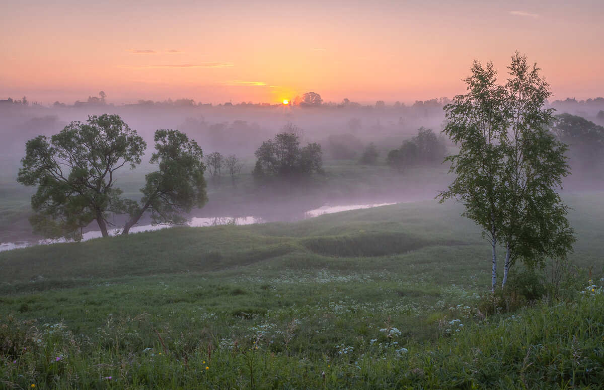 **** - Елизавета .