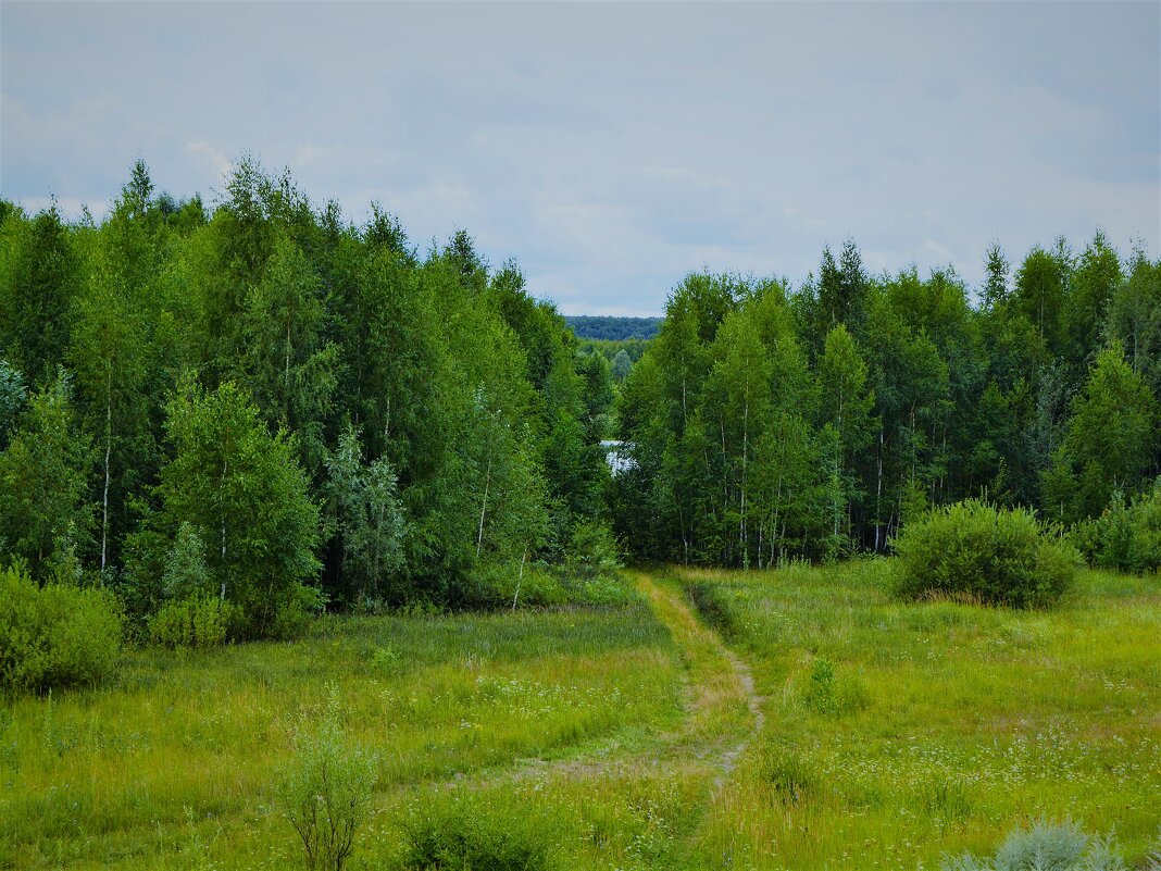 Ядрин. Дорога к центральной части озера Сергач. - Пётр Чернега Ядрин. Дорога к центральной части озера Сергач. - Пётр Чернега