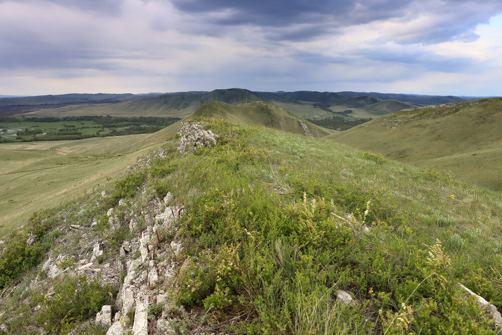 Долгие Горы - Галина Ильясова