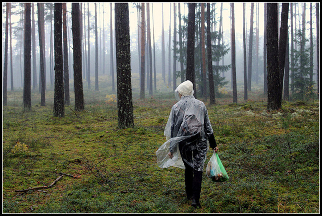 ...в любую погоду... - Aleksandr Gal ...в любую погоду... - Aleksandr Gal