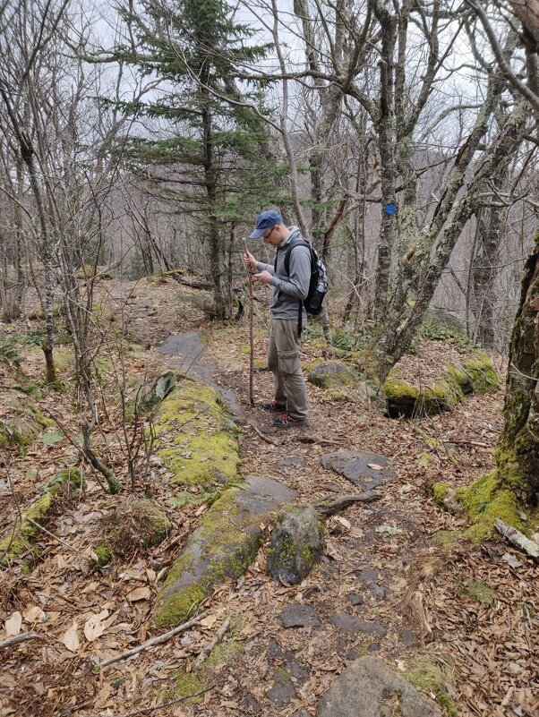 Надо пройти.... - Светлана Хращевская
