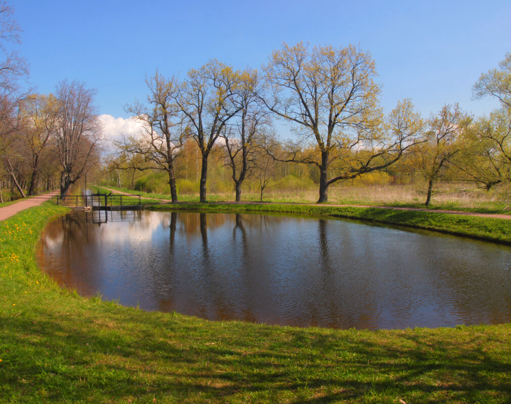 *** - Сергей Григорьев