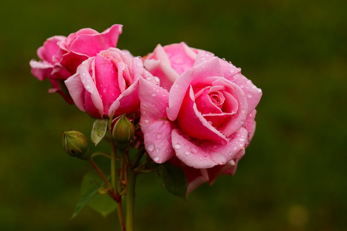 И было утро - Юрий. Шмаков