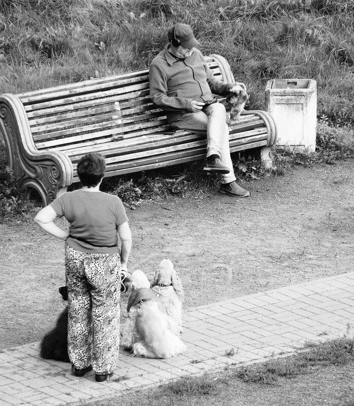 /// - Виктор Никитенко /// - Виктор Никитенко