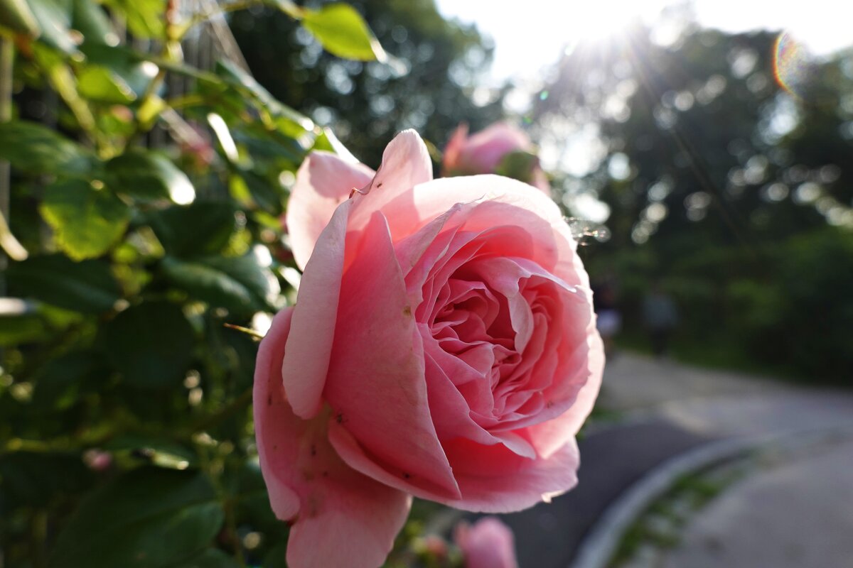 ... - Галина ... - Галина