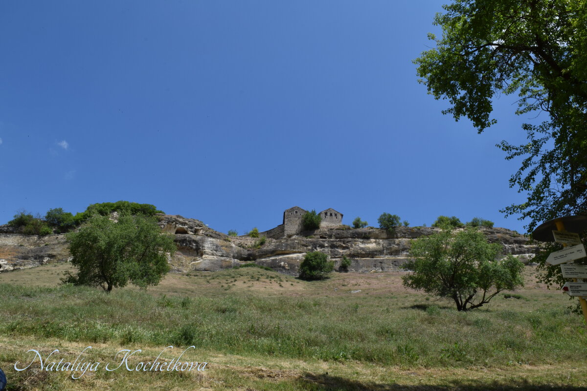 Природа Крыма - Amazing Cosmea Природа Крыма - Amazing Cosmea