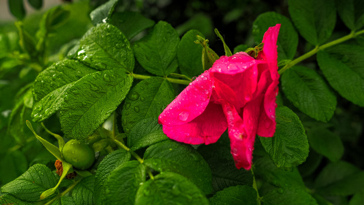 ***** - юрий поляков