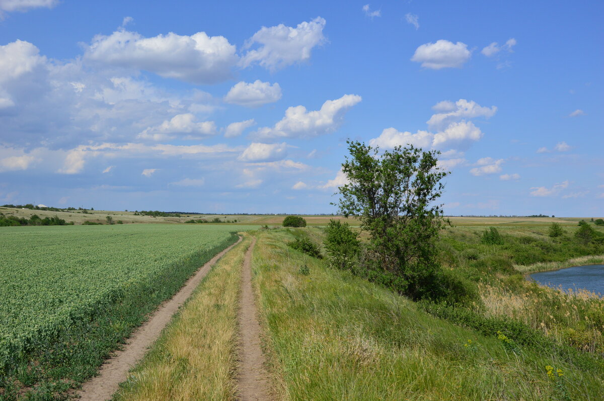 Мои дороги. - Виктор 