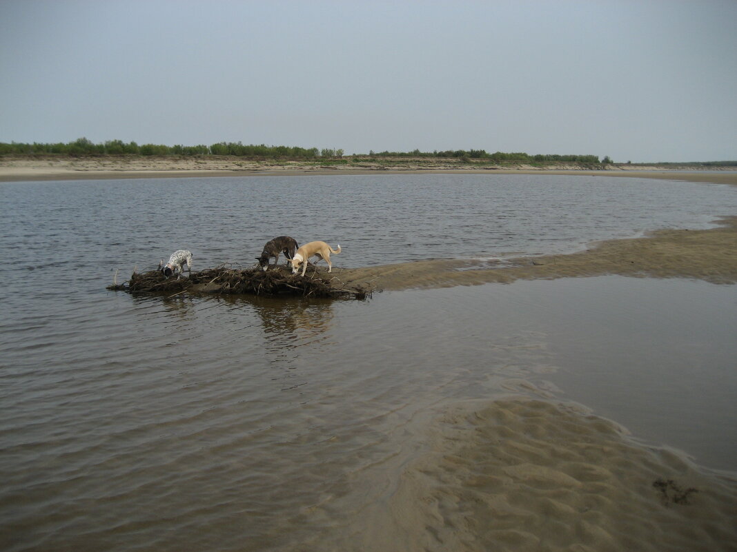 Лето - Anna Ivanova Лето - Anna Ivanova