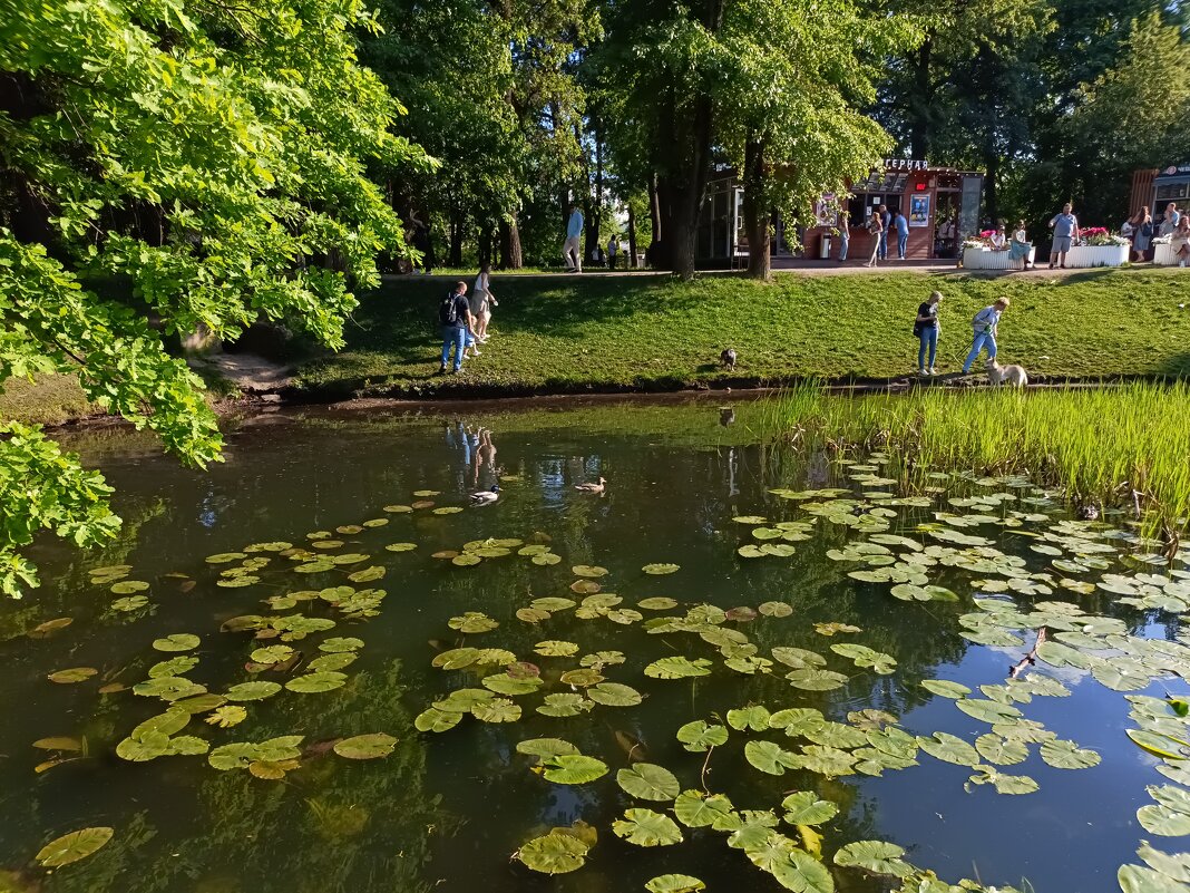 пруд в парке - Галина R... пруд в парке - Галина R...
