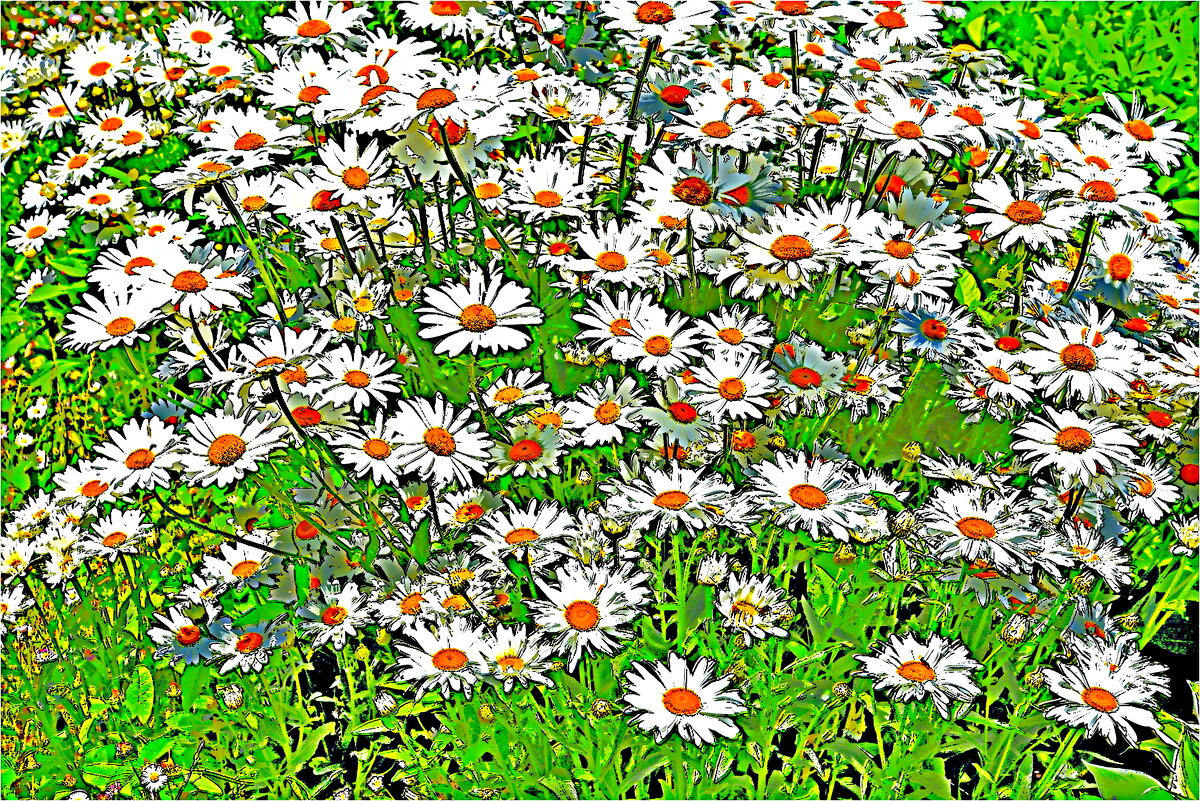 ЛЕТО - Юрий Владимирович 34