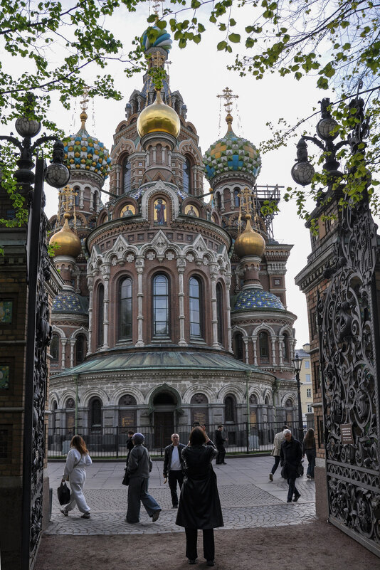 Спас на Крови (вид из Михайловского парка) - Татьяна Машошина