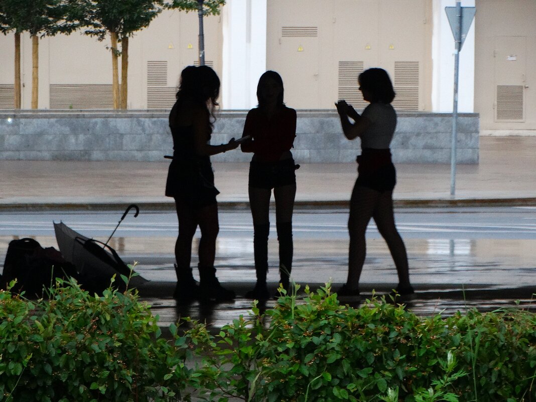 Дождливым вечером под мостом - svk *